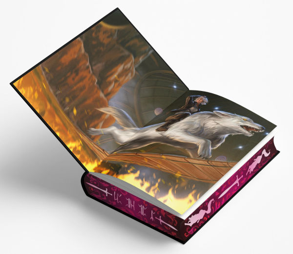 Dire Bound (Deluxe Limited Edition) (The Wolves of Ruin, 1)